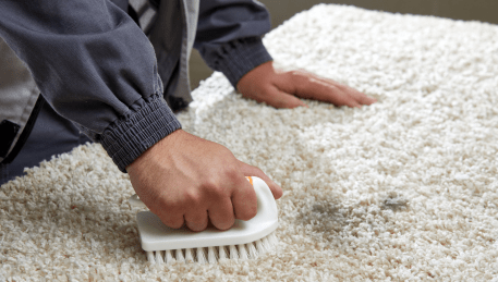 Professional Rug Cleaning Cottles Bridge
